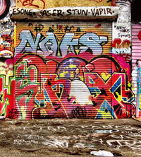 Dimex Graffiti Street Wall Mural 225x250cm 3 Panels | Yourdecoration.com