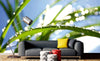 Dimex Grass Wall Mural 375x250cm 5 Panels Ambiance | Yourdecoration.com