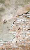 Dimex Grunge Wall Wall Mural 150x250cm 2 Panels | Yourdecoration.com