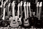 Dimex Guitars Collection Wall Mural 375x250cm 5 Panels | Yourdecoration.com