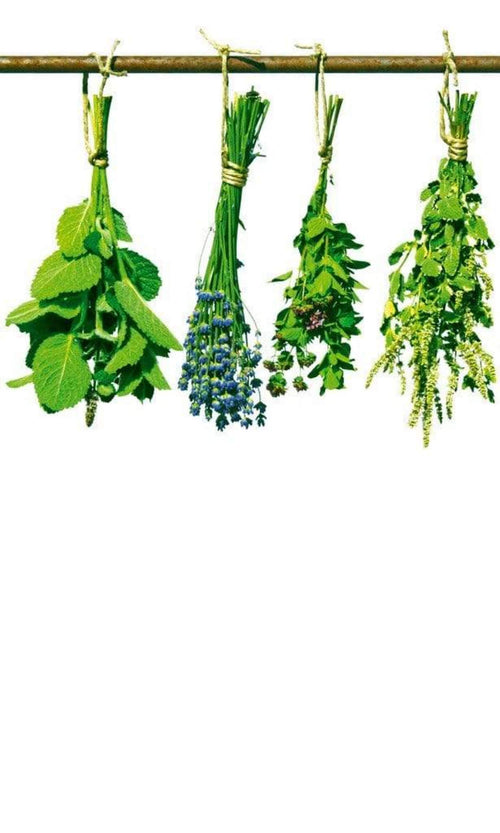 Dimex Herbs Wall Mural 150x250cm 2 Panels | Yourdecoration.com