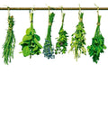 Dimex Herbs Wall Mural 225x250cm 3 Panels | Yourdecoration.com