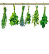 Dimex Herbs Wall Mural 225x250cm 3 Panels | Yourdecoration.com