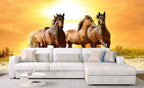 Dimex Horses in Sunset Wall Mural 375x250cm 5 Panels Ambiance | Yourdecoration.com