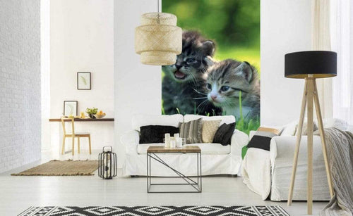Dimex Kittens Wall Mural 150x250cm 2 Panels Ambiance | Yourdecoration.com