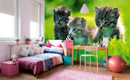 Dimex Kittens Wall Mural 375x250cm 5 Panels Ambiance | Yourdecoration.com