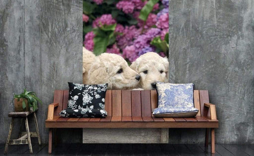 Dimex Labrador Puppies Wall Mural 150x250cm 2 Panels Ambiance | Yourdecoration.com