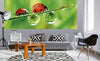 Dimex Ladybird Wall Mural 375x150cm 5 Panels Ambiance | Yourdecoration.com