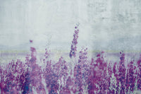 Dimex Lavender Abstract Wall Mural 375x250cm 5 Panels | Yourdecoration.com