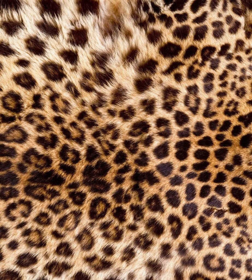 Leopard Print Animal Fur Wall Murals