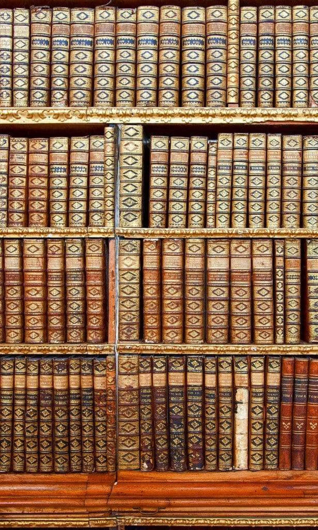 Dimex Library Wall Mural 150x250cm 2 Panels | Yourdecoration.com