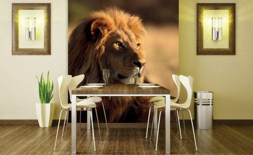 Dimex Lion Wall Mural 225x250cm 3 Panels Ambiance | Yourdecoration.com
