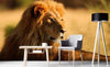 Dimex Lion Wall Mural 375x250cm 5 Panels Ambiance | Yourdecoration.com