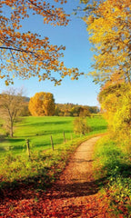 Dimex Meadow Wall Mural 150x250cm 2 Panels | Yourdecoration.com
