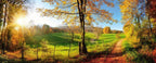 Dimex Meadow Wall Mural 375x150cm 5 Panels | Yourdecoration.com