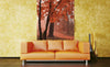 Dimex Misty Forest Wall Mural 150x250cm 2 Panels Ambiance | Yourdecoration.com