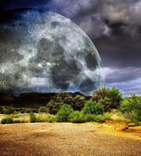 Dimex Moon Wall Mural 225x250cm 3 Panels | Yourdecoration.com