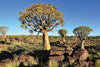Dimex Namibia Wall Mural 375x250cm 5 Panels | Yourdecoration.com