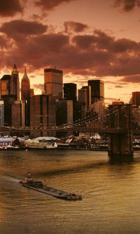 Dimex New York Wall Mural 150x250cm 2 Panels | Yourdecoration.com