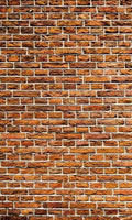 Dimex Old Brick Wall Mural 150x250cm 2 Panels | Yourdecoration.com