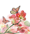 Dimex Orchids and Butterfly Wall Mural 225x250cm 3 Panels | Yourdecoration.com
