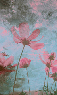 Dimex Pink Flower Abstract Wall Mural 150x250cm 2 Panels | Yourdecoration.com
