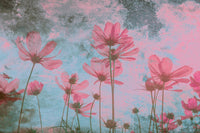 Dimex Pink Flower Abstract Wall Mural 375x250cm 5 Panels | Yourdecoration.com