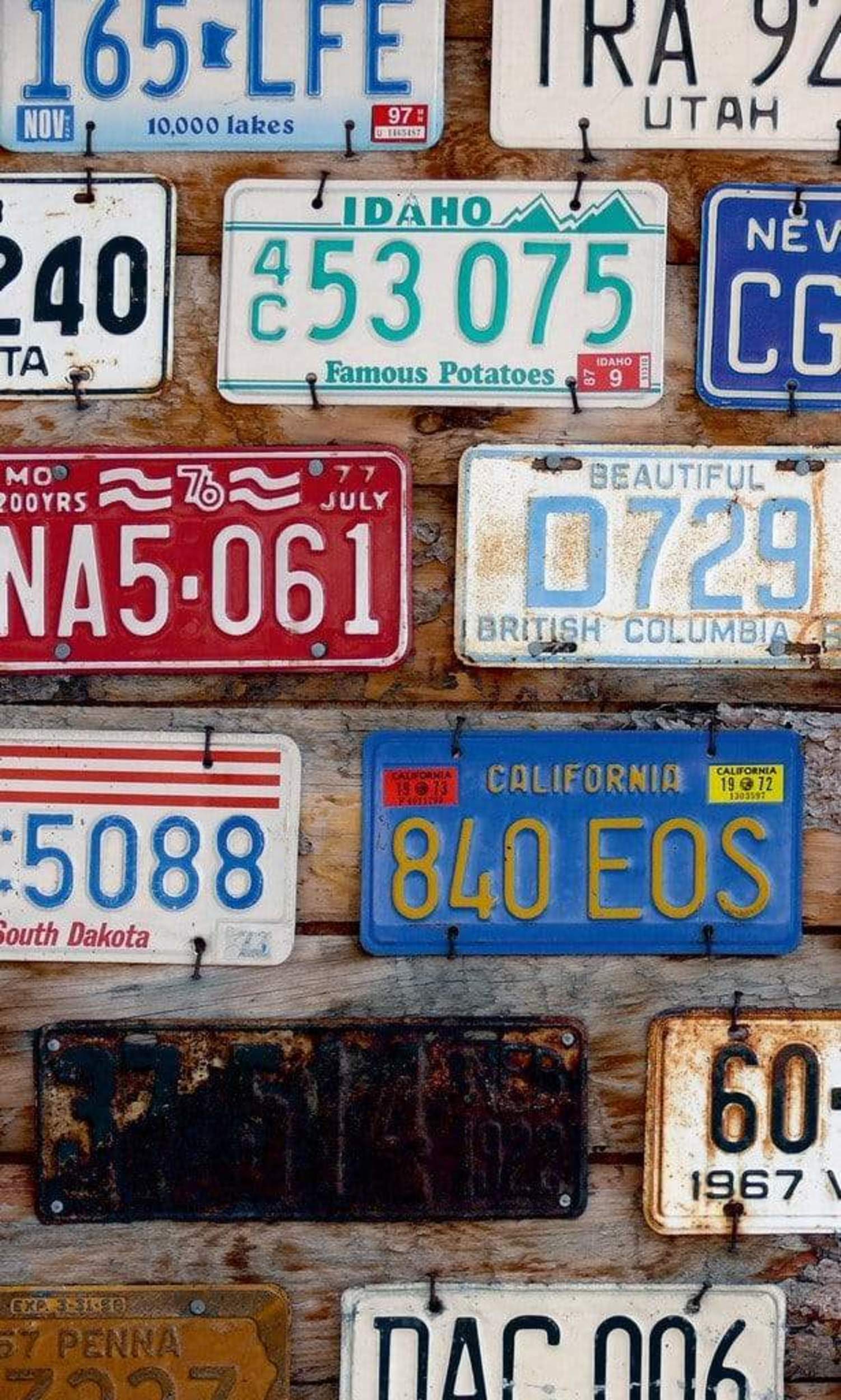 Dimex Plate Numbers Wall Mural 150x250cm 2 Panels | Yourdecoration.com