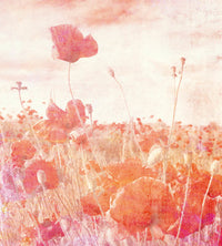 Dimex Poppies Abstract Wall Mural 225x250cm 3 Panels | Yourdecoration.com