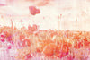 Dimex Poppies Abstract Wall Mural 375x250cm 5 Panels | Yourdecoration.com