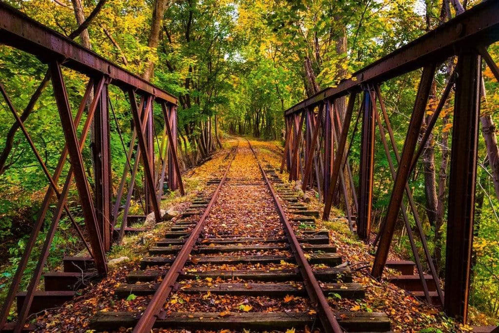 Dimex Railroad Wall Mural 375x250cm 5 Panels | Yourdecoration.com