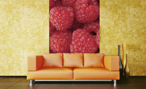 Dimex Raspberry Wall Mural 150x250cm 2 Panels Ambiance | Yourdecoration.com