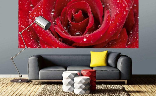 Dimex Red Rose Wall Mural 375x150cm 5 Panels Ambiance | Yourdecoration.com