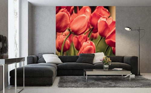 Dimex Red Tulips Wall Mural 225x250cm 3 Panels Ambiance | Yourdecoration.com