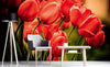 Dimex Red Tulips Wall Mural 375x250cm 5 Panels Ambiance | Yourdecoration.com