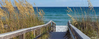 Dimex Sandy Boardwalk Wall Mural 375x150cm 5 Panels | Yourdecoration.com