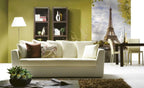 Dimex Siene in Paris Wall Mural 150x250cm 2 Panels Ambiance | Yourdecoration.com