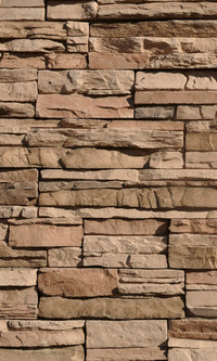 Dimex Stones Wall Mural 150x250cm 2 Panels | Yourdecoration.com