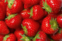Dimex Strawberry Wall Mural 375x250cm 5 Panels | Yourdecoration.com