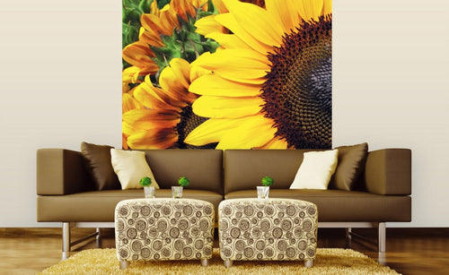 Dimex Sunflowers Wall Mural 225x250cm 3 Panels Ambiance | Yourdecoration.com