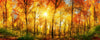 Dimex Sunny Forest Wall Mural 375x150cm 5 Panels | Yourdecoration.com