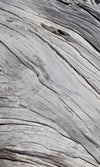 Dimex Tree Texture Wall Mural 150x250cm 2 Panels | Yourdecoration.com