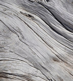 Dimex Tree Texture Wall Mural 225x250cm 3 Panels | Yourdecoration.com