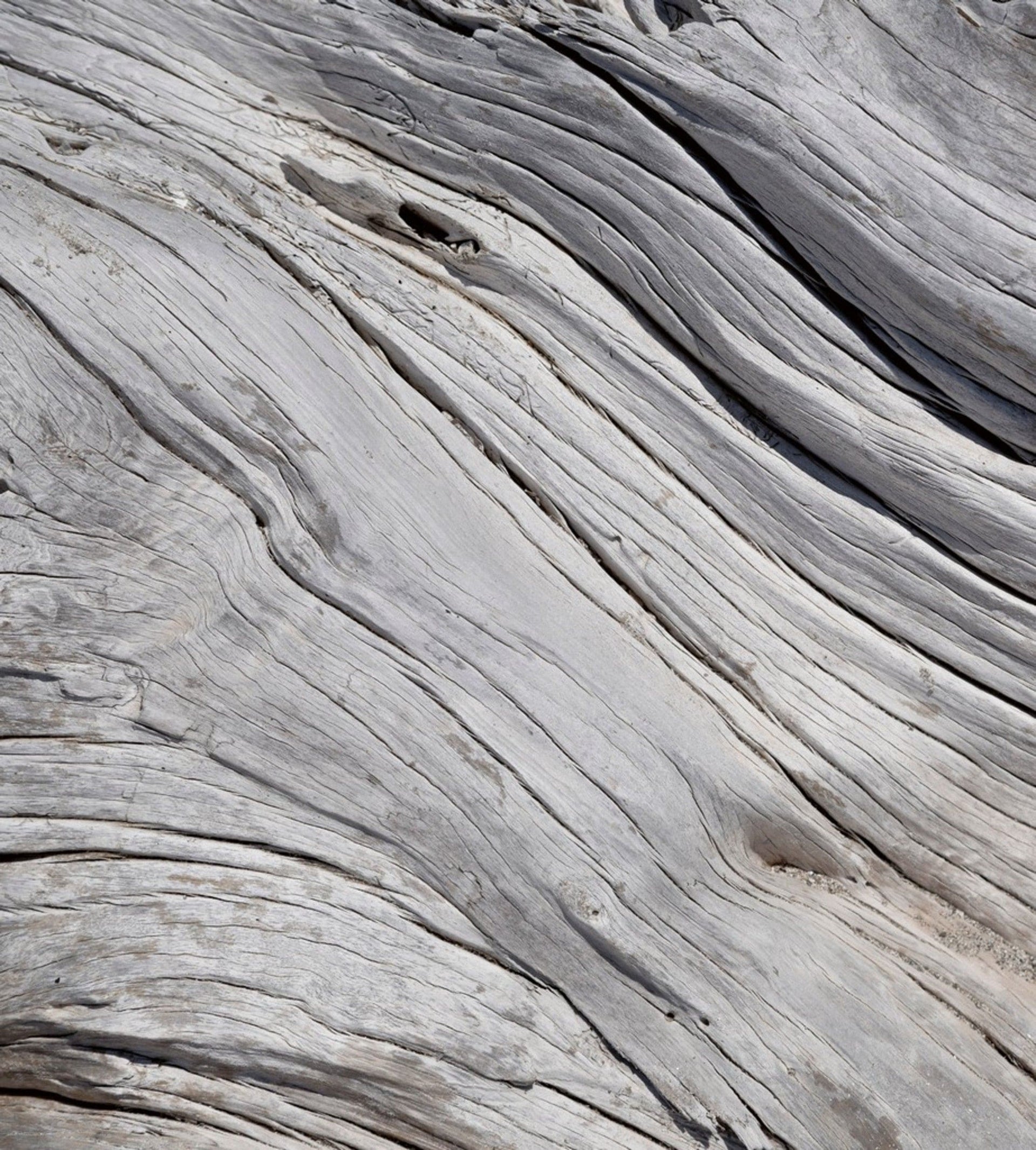 Dimex Tree Texture Wall Mural 225x250cm 3 Panels | Yourdecoration.com