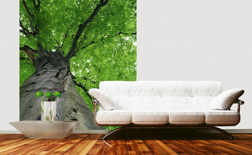 Dimex Treetop Wall Mural 225x250cm 3 Panels Ambiance | Yourdecoration.com