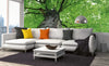 Dimex Treetop Wall Mural 375x150cm 5 Panels Ambiance | Yourdecoration.com