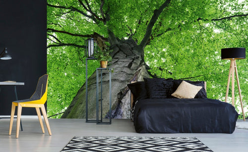 Dimex Treetop Wall Mural 375x250cm 5 Panels Ambiance | Yourdecoration.com