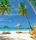 Dimex Tropical Beach Wall Mural 225x250cm 3 Panels | Yourdecoration.com