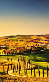 Dimex Tuscany Wall Mural 150x250cm 2 Panels | Yourdecoration.com
