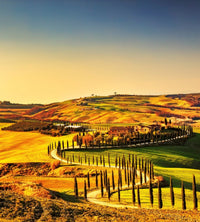 Dimex Tuscany Wall Mural 225x250cm 3 Panels | Yourdecoration.com